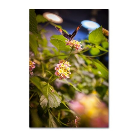 Trademark Fine Art Yale Gurney 'Get a Wing Up' Canvas Art, 16x24 YG7201-C1624GG